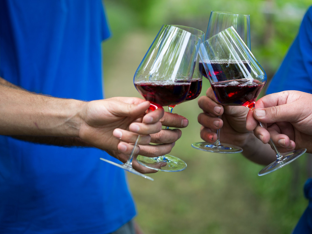 Muri-gries Tenuta | Cantina Convento-博尔扎诺必去景点