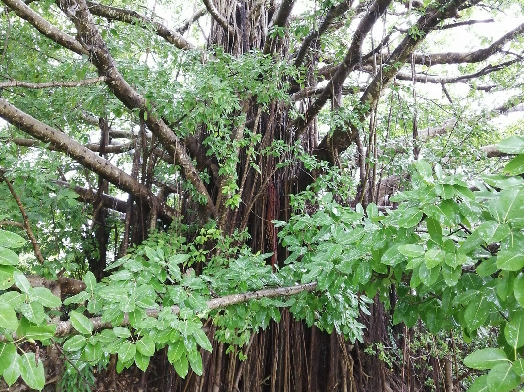 Eco Resort Sumba Dream主图