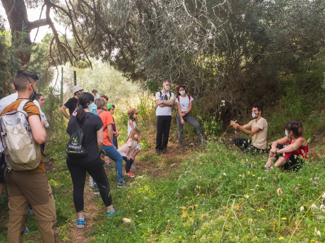 Viendo Verde-卡塞雷斯必去景点