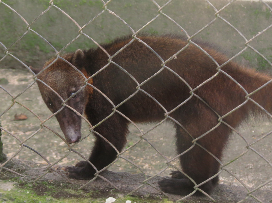 Parque Zoobotânico-Tabatinga必去景点