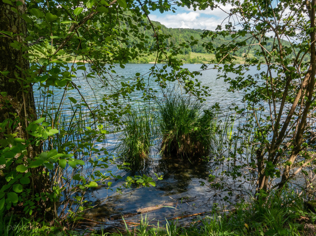Turlersee-Hausen am Albis必去景点