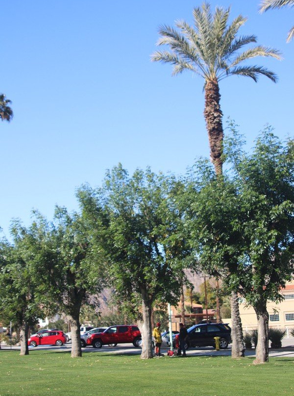 La Quinta Park-拉金塔必去景点