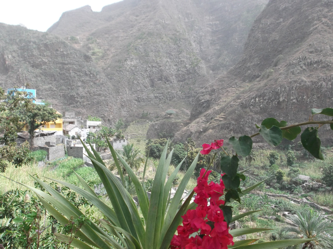 Green Line Tours Cabo Verde景点图片