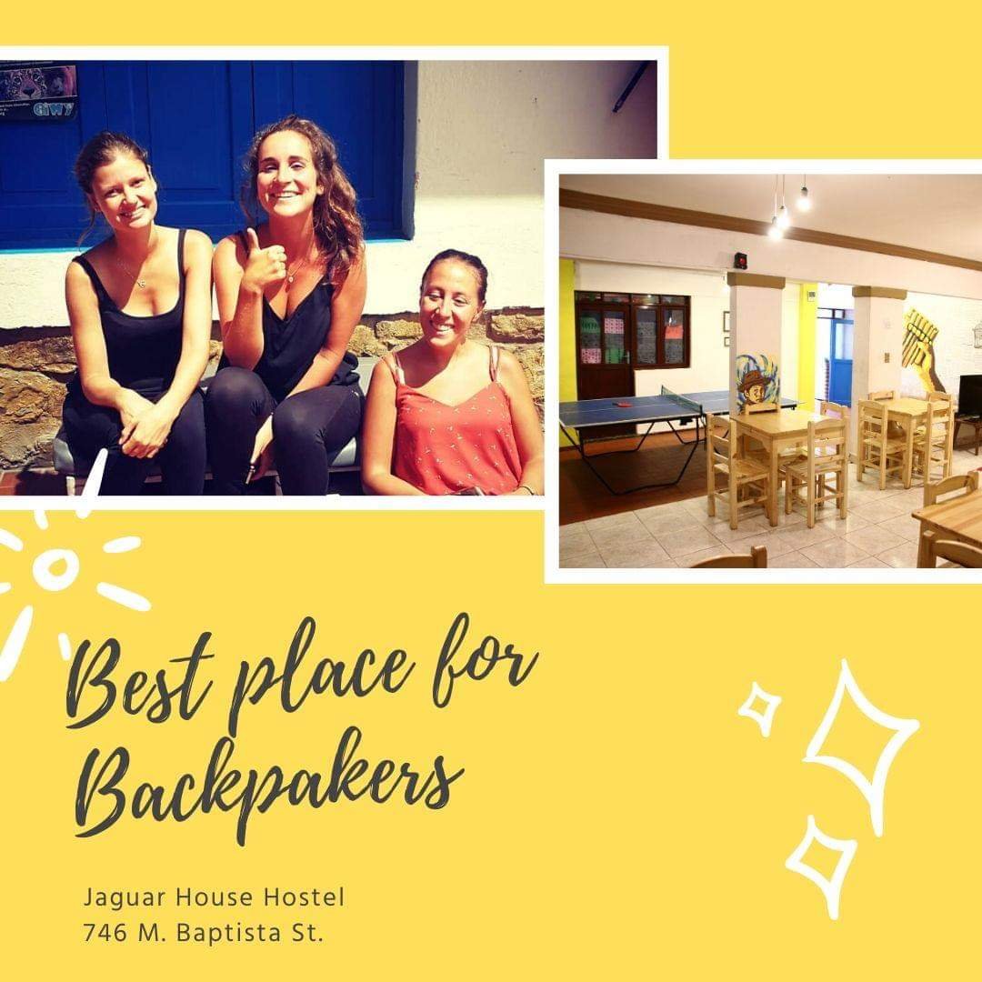 Jaguar House Hostel-官方