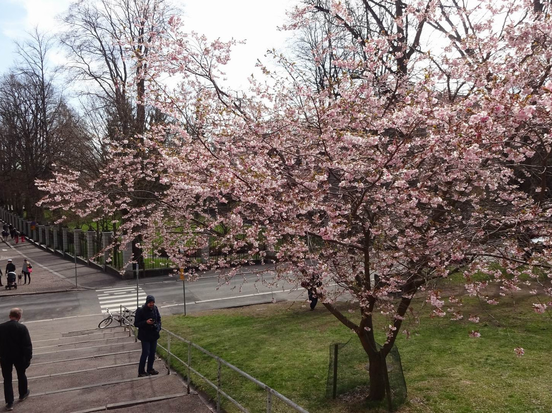 Observatory Hill (Tähtitorninmäki)-赫尔辛基必去景点