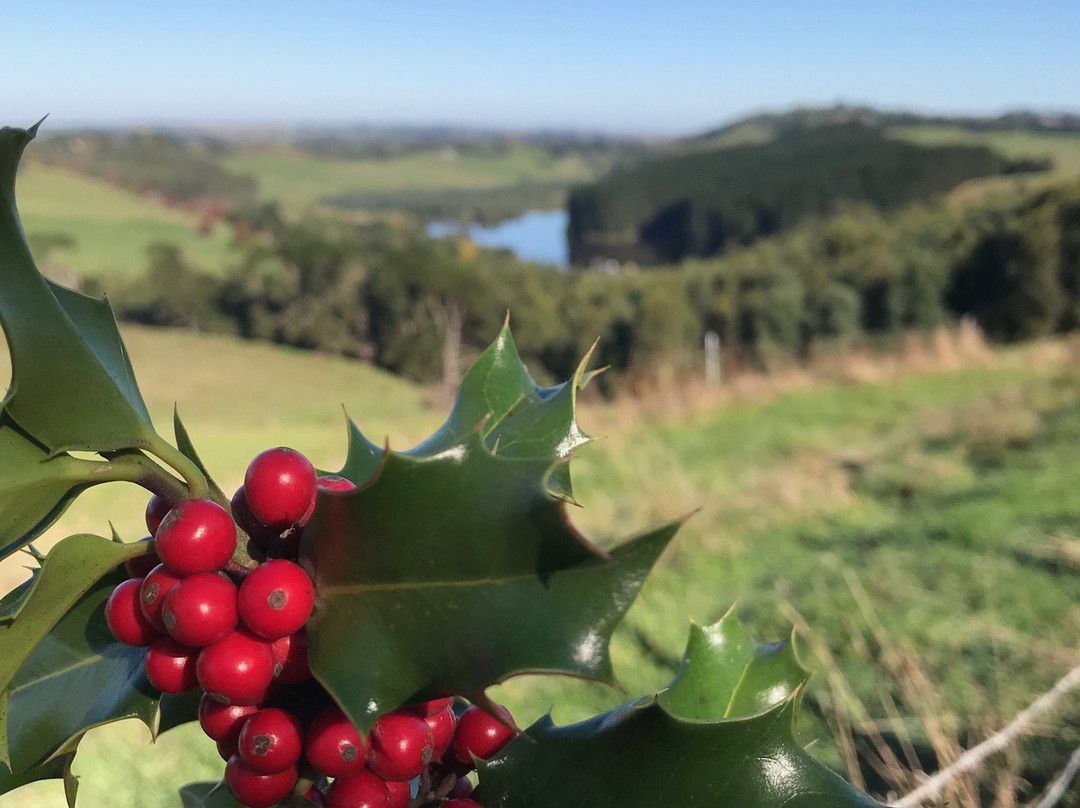 Lancey's Lookout-Arawata必去景点