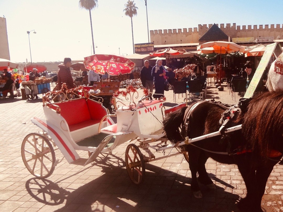 El Hedim Square-梅克内斯必去景点
