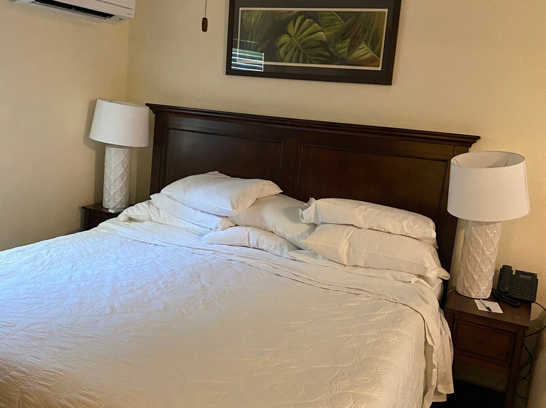 卡普里西斯塔酒店主图