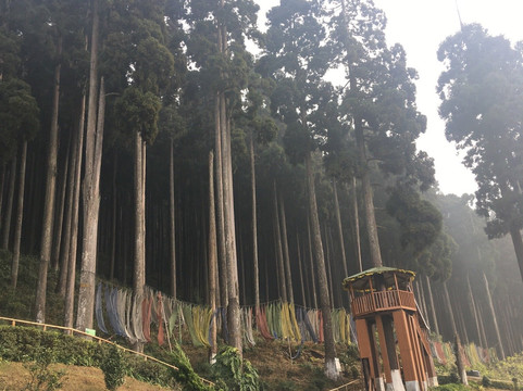 Zippi Trip-甘托克必去景点