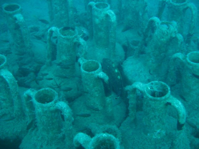 Cyprus Diving Adventures-皮索里必去景点