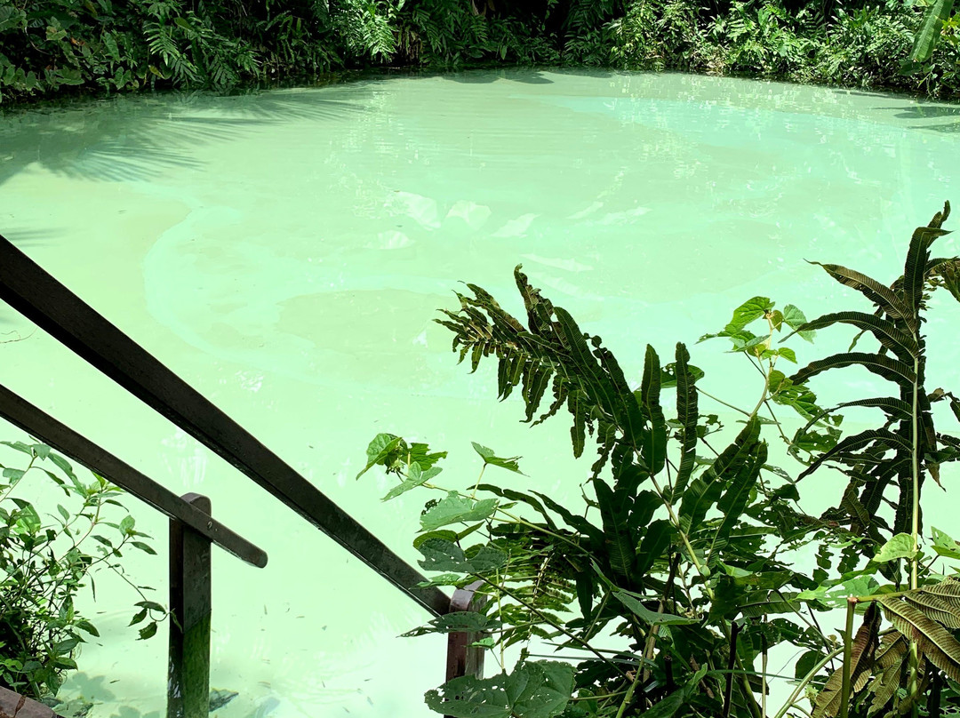 Guará Ecotrip景点图片