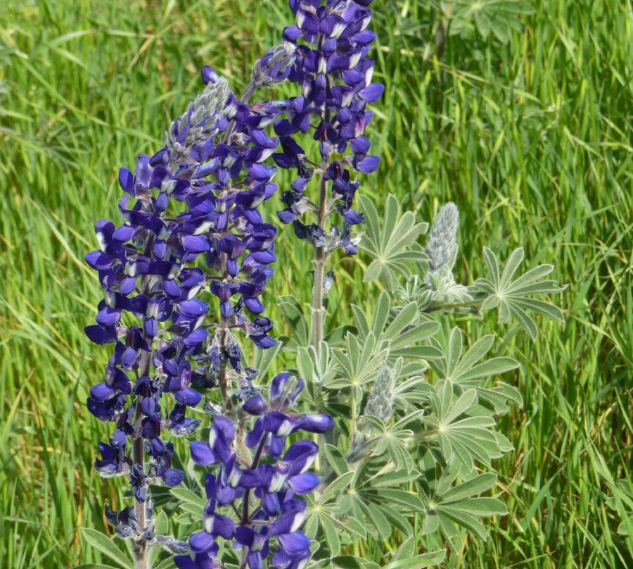 Nahal Hashofet-Yokneam Moshava必去景点