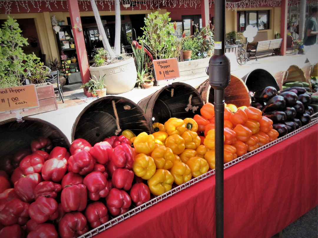 Corey Avenue Sunday Market景点图片