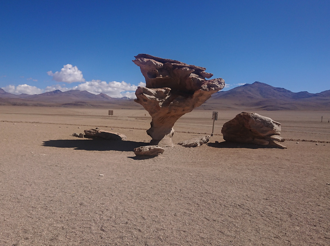 Arbol de Piedra-乌尤尼必去景点