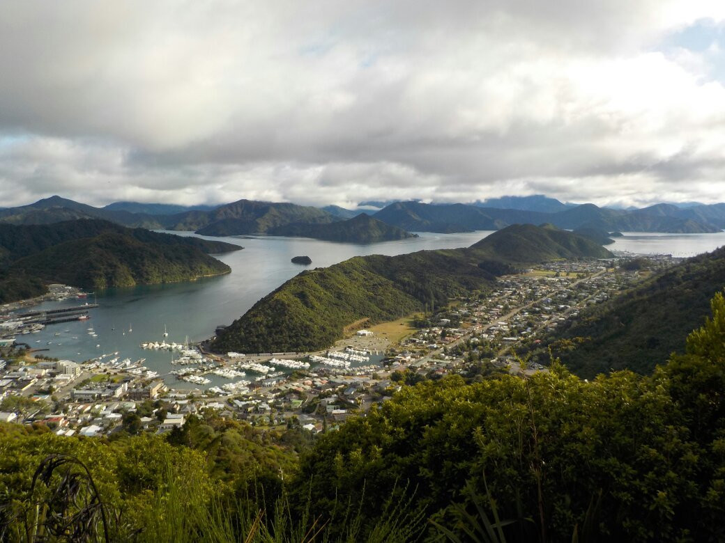 Tirohanga Track景点图片