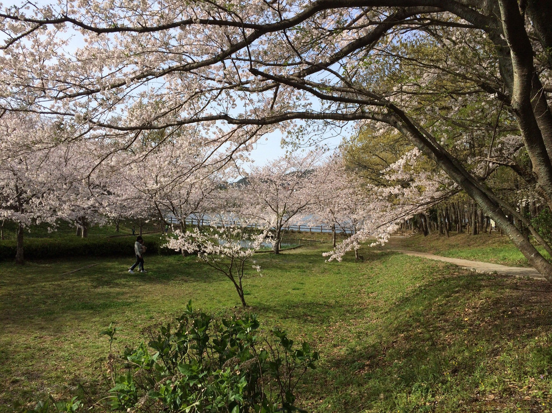 Tachioka Nature Park景点图片