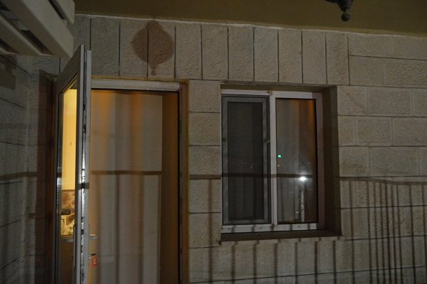 Mosaic City Hotel主图