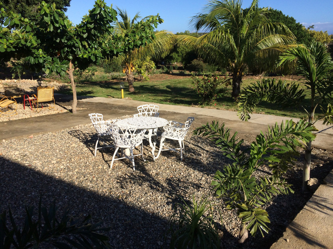 Villa Alfonsina主图