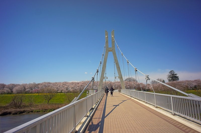 Sotono Bridge-幸手市必去景点