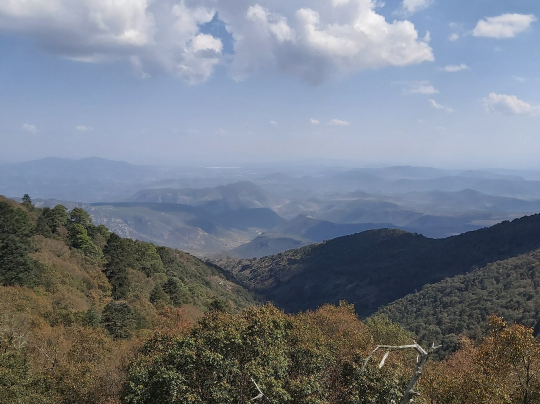 Jardón Outfitters-克雷塔罗必去景点