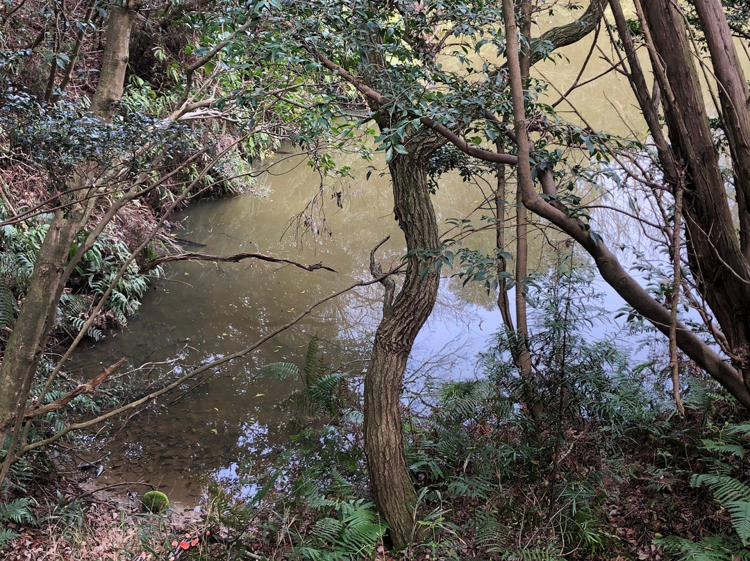 Hongu Shrine-常滑市必去景点