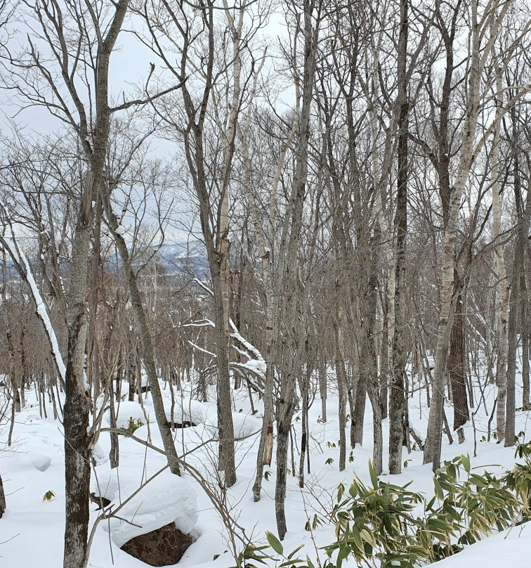 Niseko Adventure Centre-俱知安町必去景点