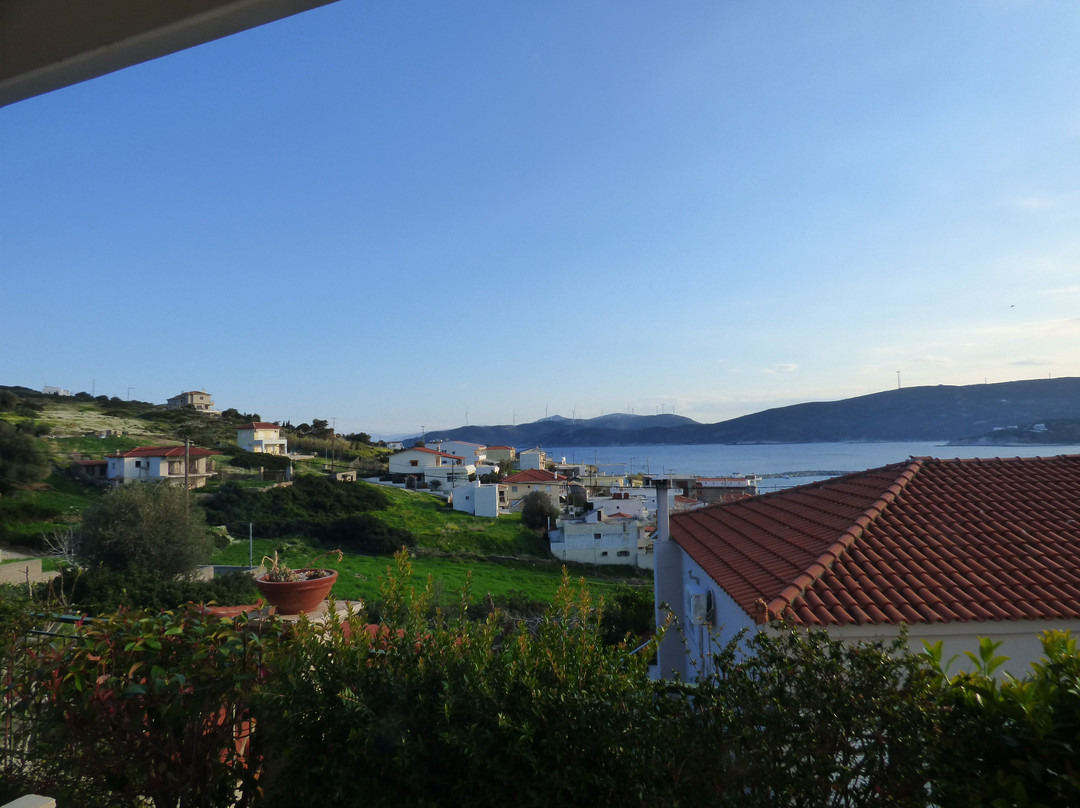 Triantafilia Guesthouse主图