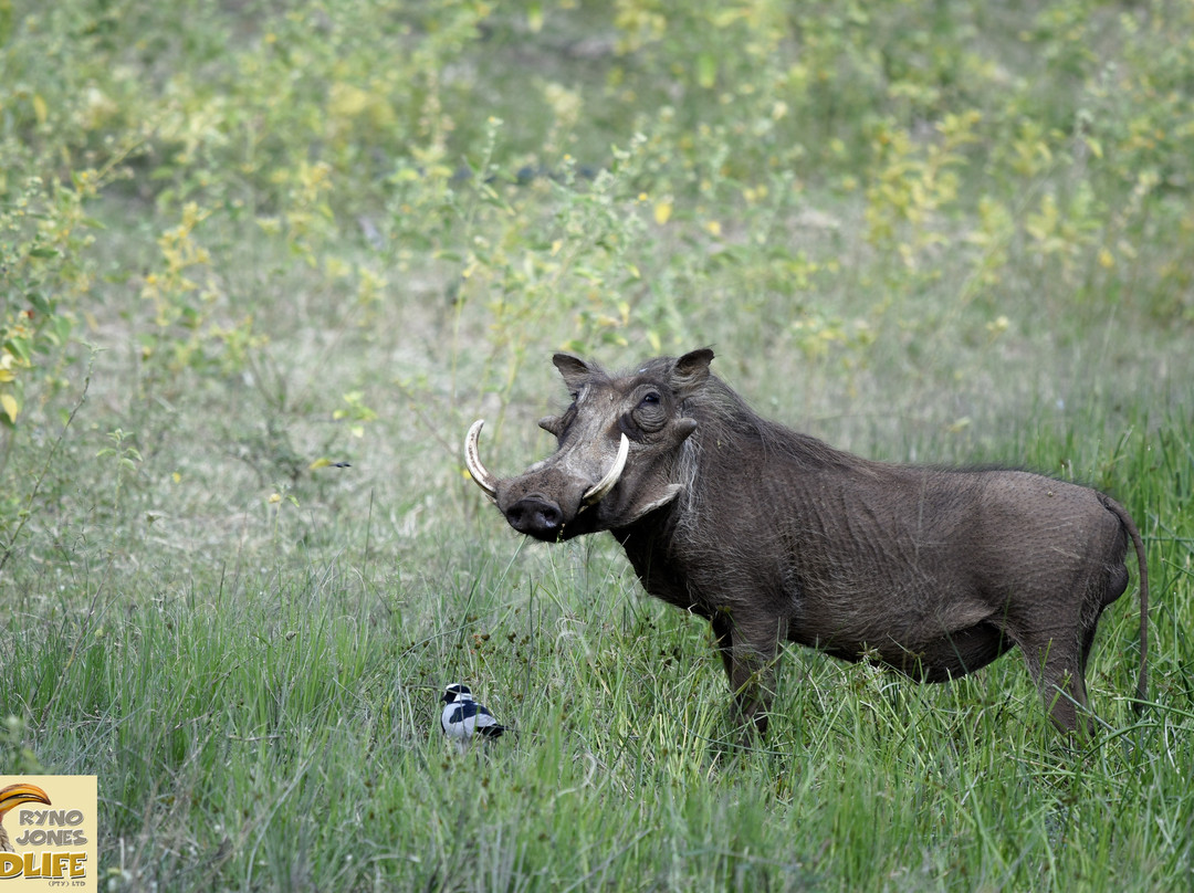 Marakele National Park-水堡必去景点
