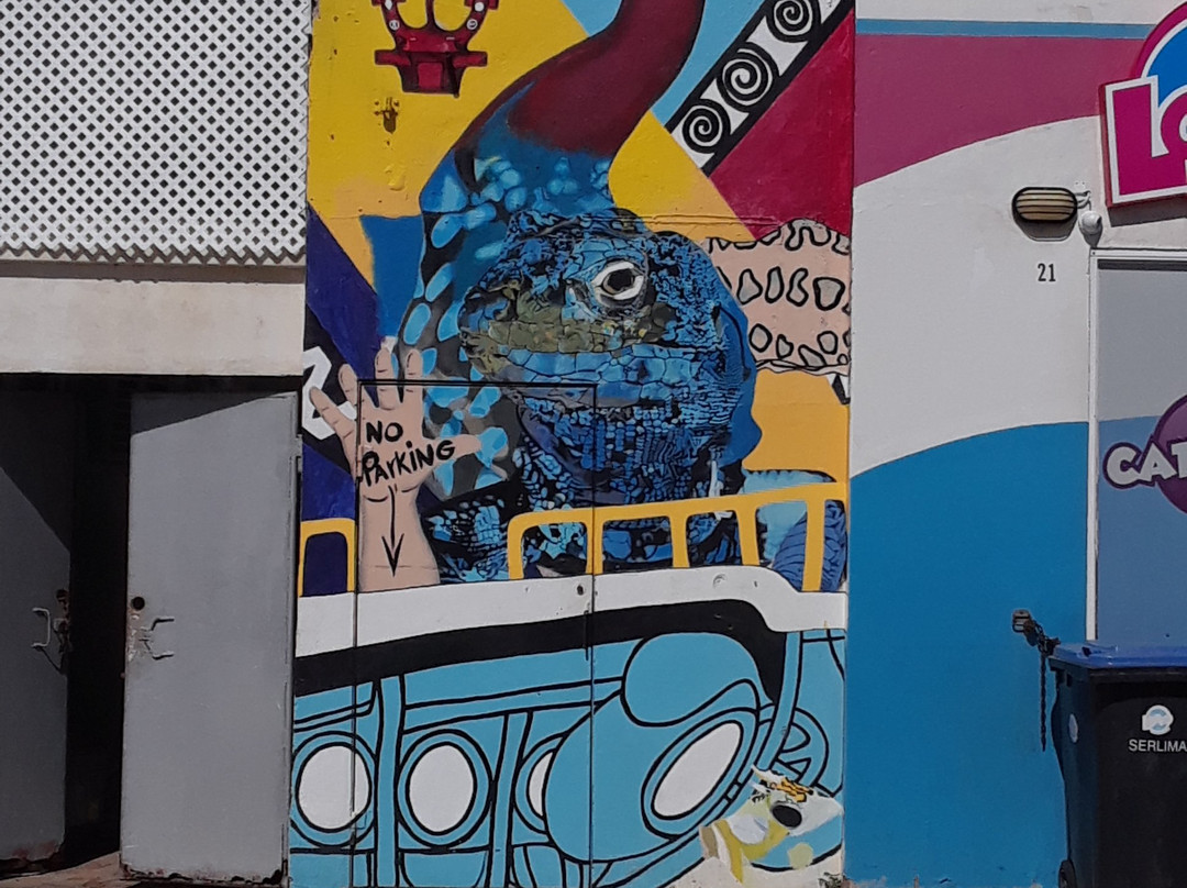 Street Murals By Aruba Art Fair-San Nicolas必去景点