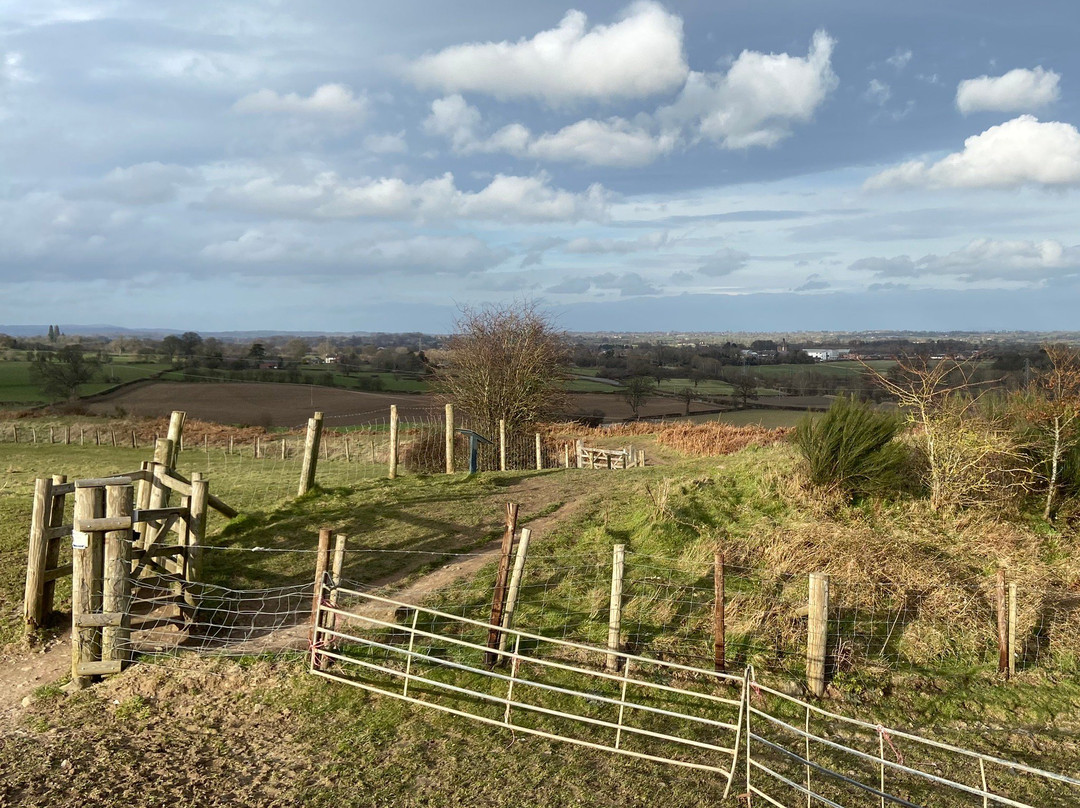 Oswestry Iron Age hill fort-奥斯沃斯特必去景点