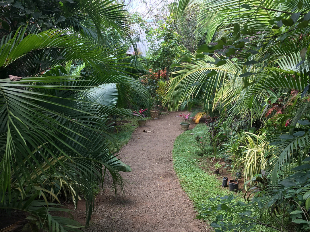 锡吉里亚奥图纳旅馆主图