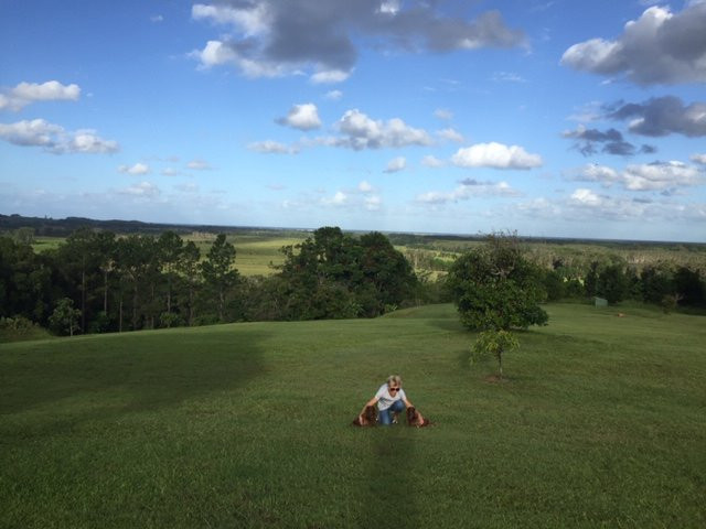 Tropical Coast Retreat - Pet Friendly主图