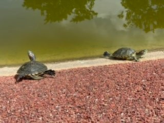 The Punggol Settlement-新加坡必去景点