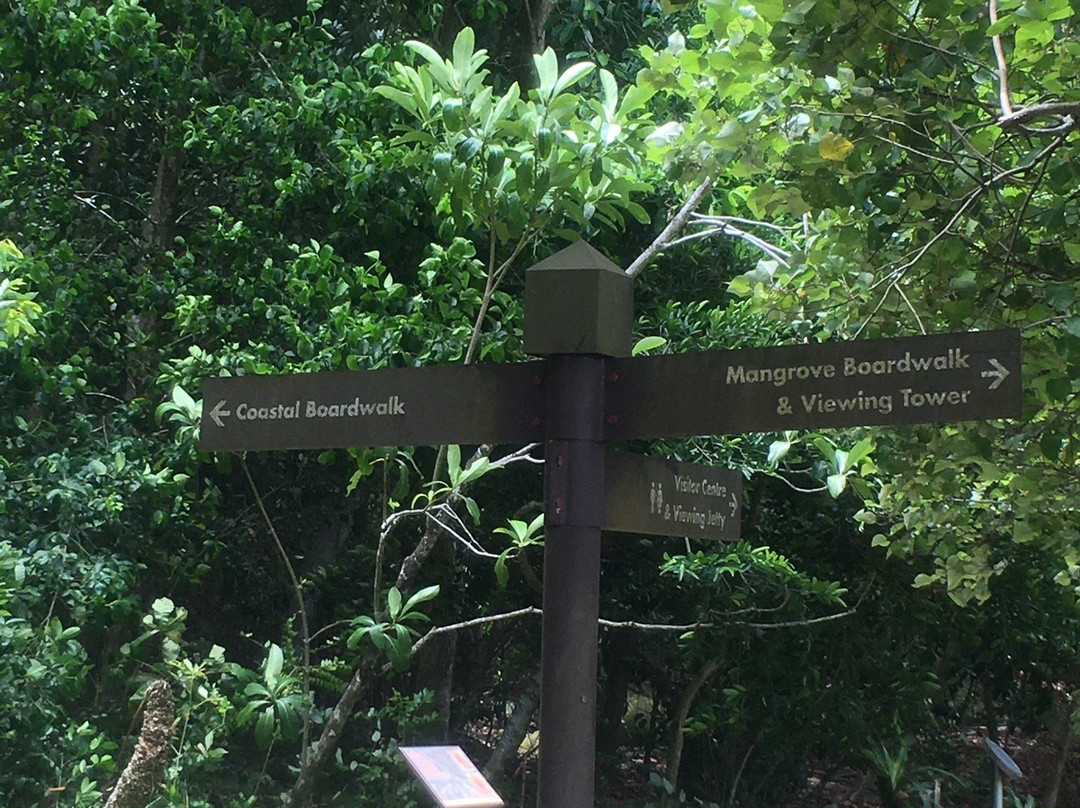 Chek Jawa-乌敏岛必去景点