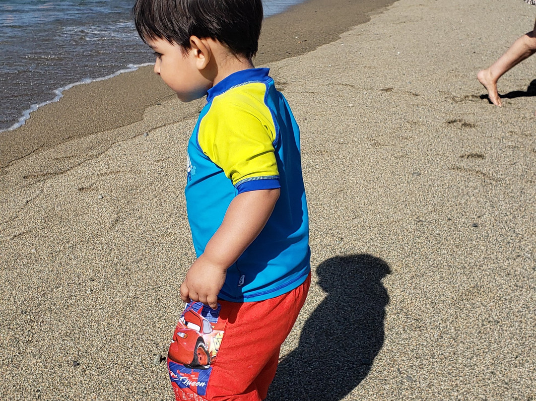 Bahia Coique-Futrono必去景点