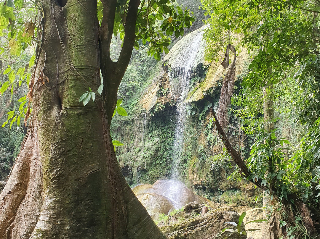 Tour Reynaldo in Kuba Day Tours-巴拉德罗必去景点