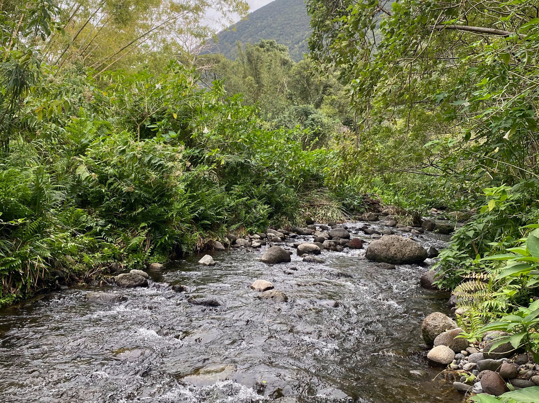 Hawea Waipio Valley Adventure景点图片