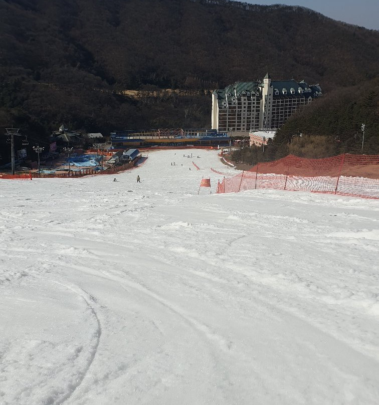 阳智松林滑雪场主图