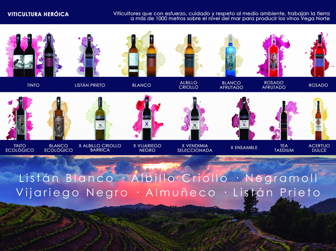 La Vinoteca de Vega Norte景点图片