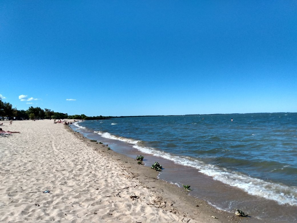 Barrinha Beach景点图片