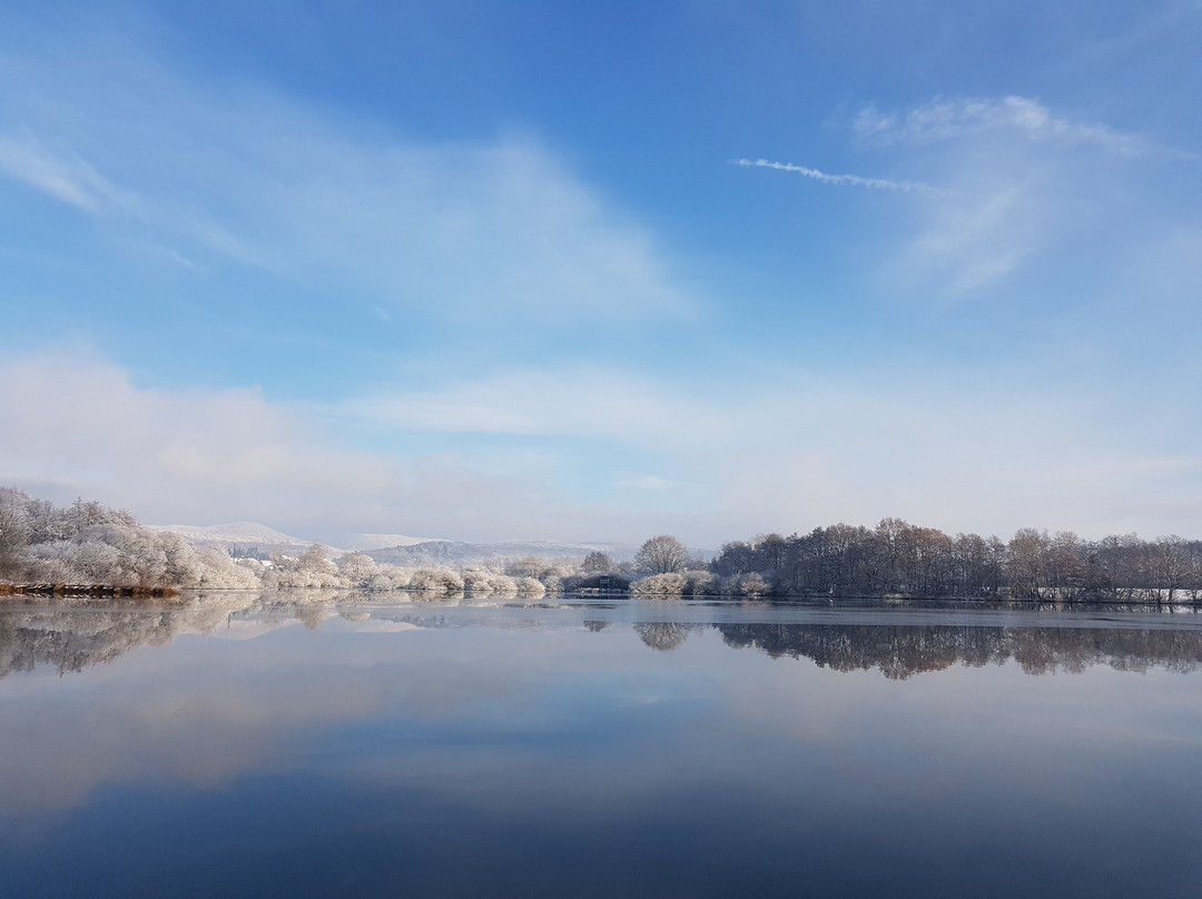 Etang des Forges景点图片