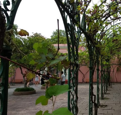 Palacio San Jose景点图片