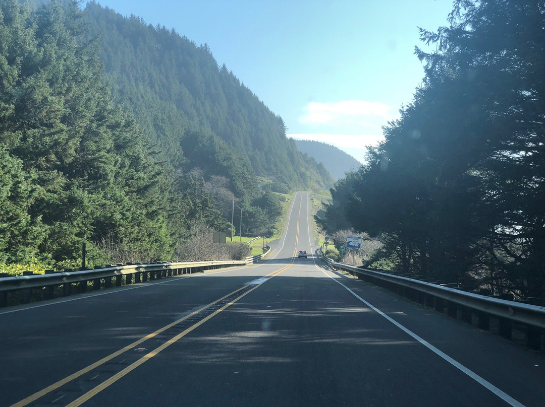 Neptune State Scenic Viewpoint-弗洛伦斯必去景点