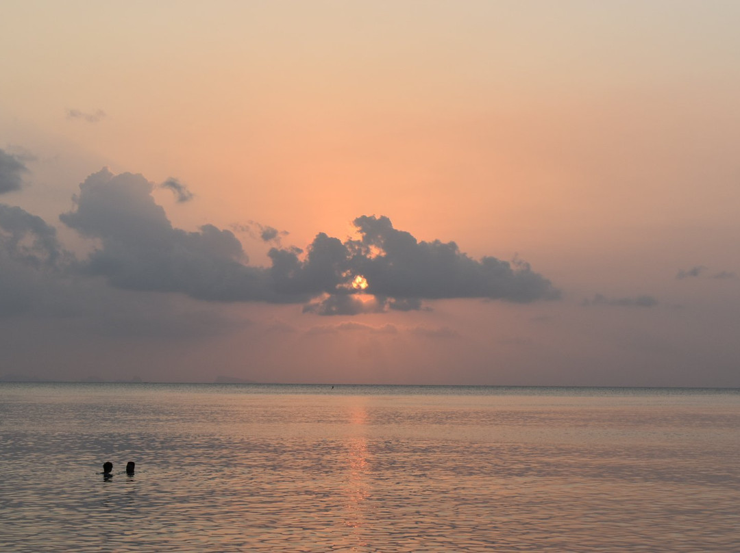 Phangan Jungle景点图片