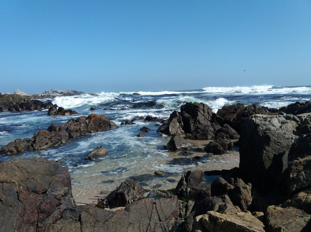 Hotel y Cabanas La Rosa Nautica主图