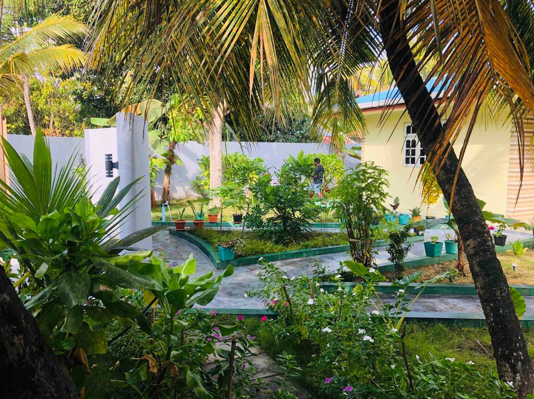 Vieni Qua Grand主图