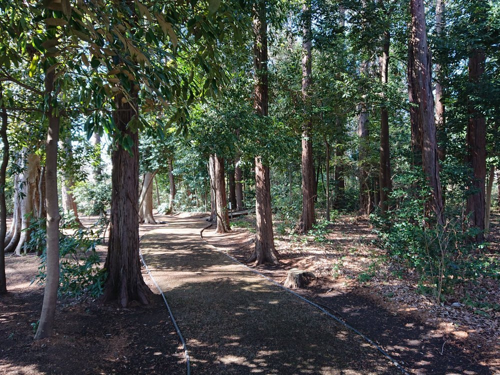 Utsunomiya Memorial Park景点图片