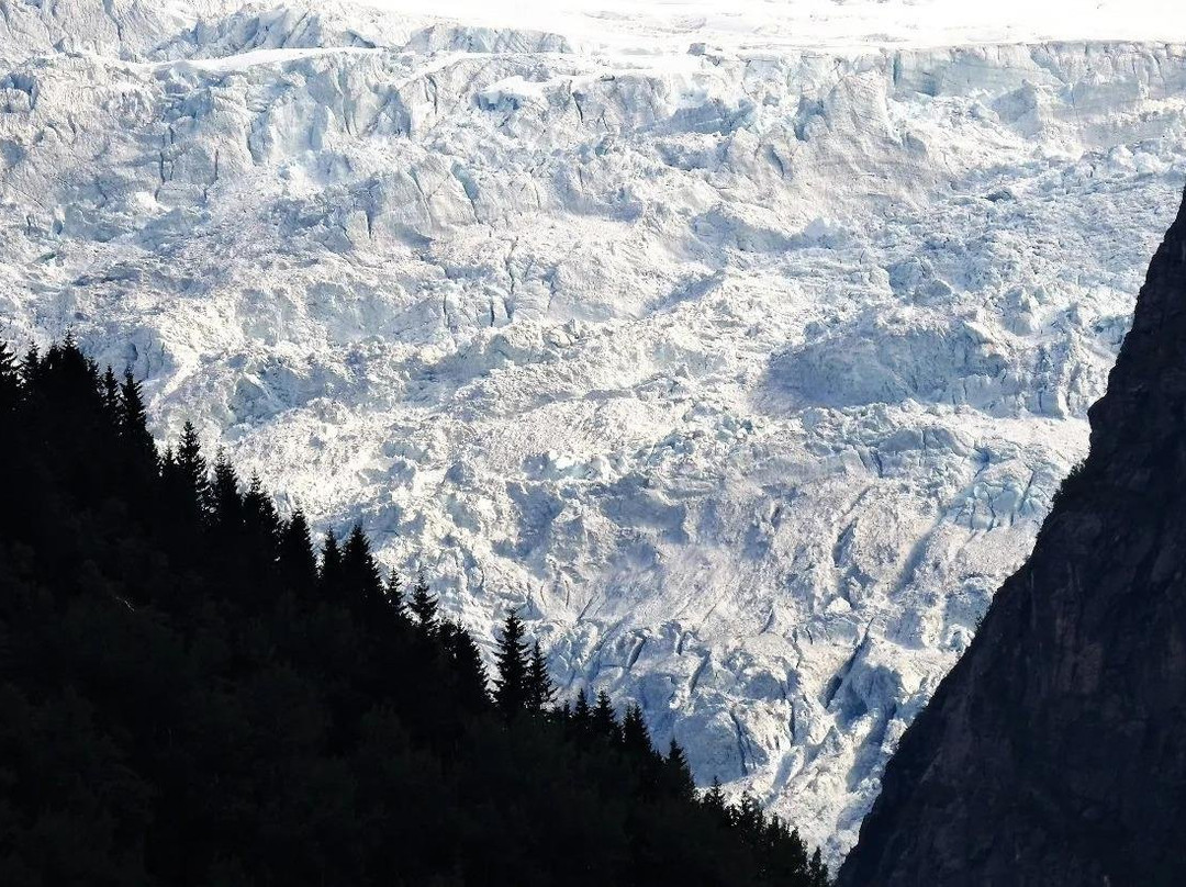 Fjord & Glacier Tour - VOSS景点图片