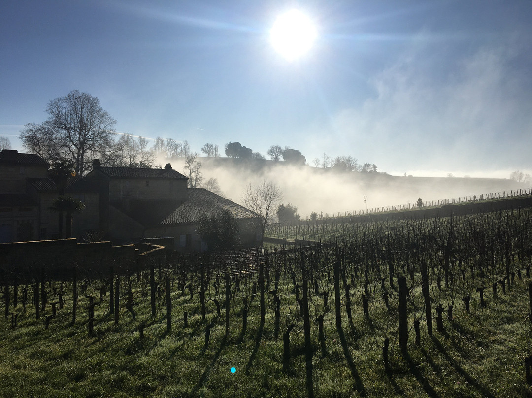 洛伊之家酒店主图