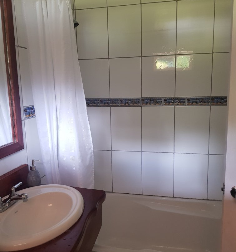 Bosque Verde Lodge主图